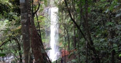 Turismo de Rondônia, que ganhou destaque no Brasil e no mundo em 2019