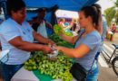 Governo recomenda boas práticas aos feirantes de Rondônia para garantir o abastecimento