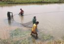 Portaria fiscaliza períodos de reprodução natural de peixes, inclusive em reservatórios de hidrelétricas em Rondônia
