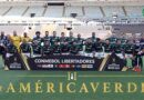 Palmeiras é bicampeão da Libertadores da América