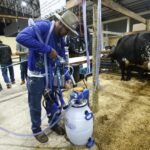 Terceiro dia: 12ª Rondônia Rural Show estimula avanço da cadeia produtiva e inovações tecnológicas