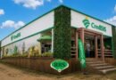 CrediSIS movimenta mais de R$ 300 milhões e bate recorde do Sistema na 13ª Rondônia Rural Show Internacional 2026