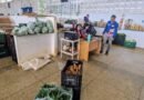 Prefeitura de Ji-Paraná fortalece agricultura familiar e garante alimento na mesa de quem precisa através do PMAAF