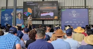 Dia de Campo Fazenda Minuano & Vitasal reúne produtores em Rondônia para debater inovação e gestão no agro