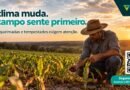 Rondônia em alerta: seca, queimadas e tempestades exigem atenção no campo