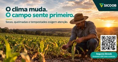 Rondônia em alerta: seca, queimadas e tempestades exigem atenção no campo